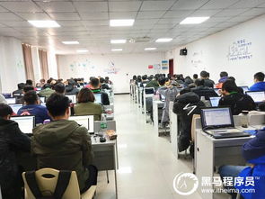 元宵佳節，相聚黑馬 鄭州Python基礎3期開班啦！